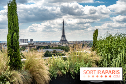Visuel Paris, vue du Meurice suite Etoile - Tour Eiffel