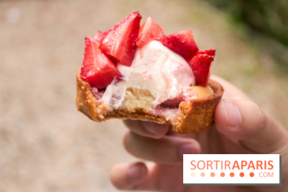 Les glaces des belles envies