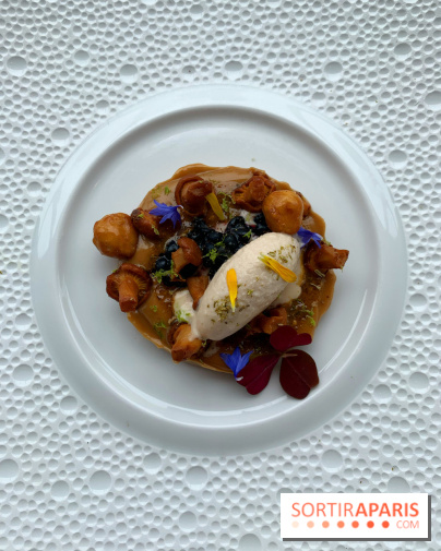 Oiseau Blanc Peninsula