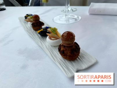 Oiseau Blanc Peninsula