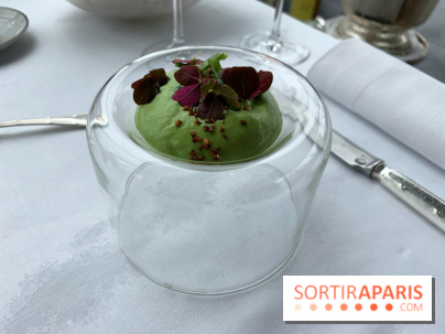 Oiseau Blanc Peninsula