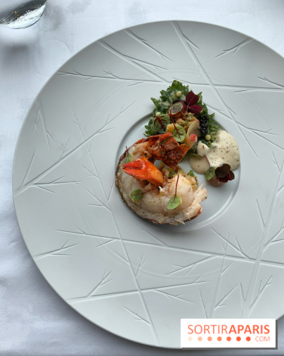 Oiseau Blanc Peninsula