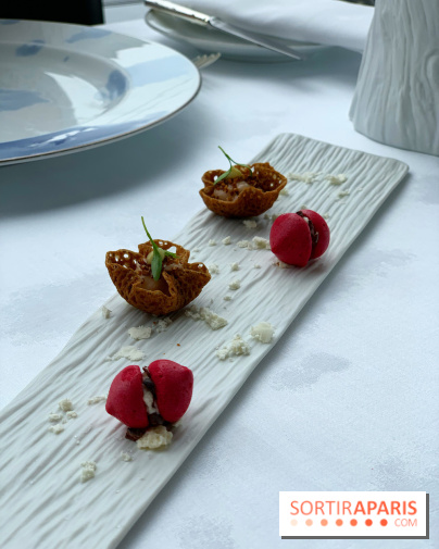 Oiseau Blanc Peninsula