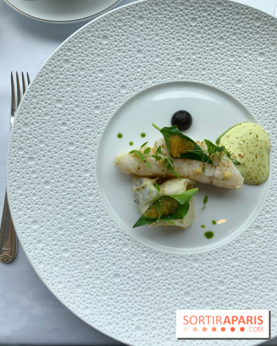 Oiseau Blanc Peninsula