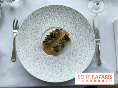 Oiseau Blanc Peninsula