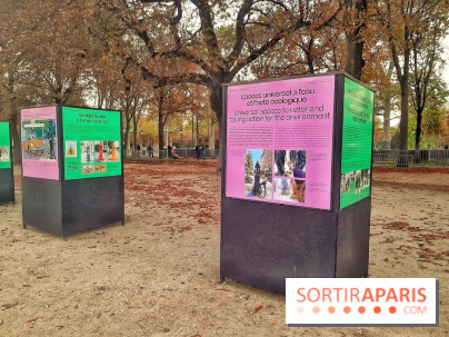 Exposition et animations autour des fontaines Wallace sur les Champs-Elysées cet automne