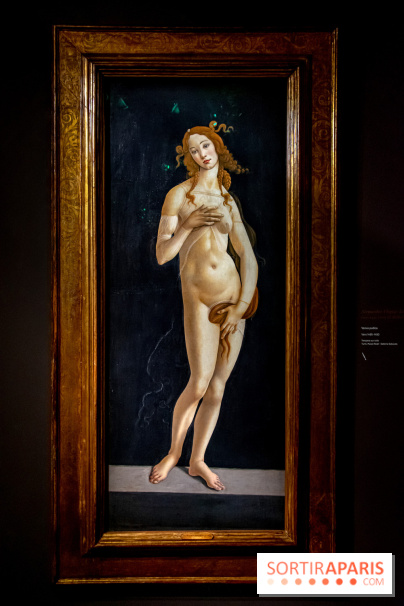 Botticelli, Artiste & Designer, l'exposition au Musée Jacquemart-André - nos photos