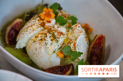 Sapid, la table à manger Naturaliste d'Alan Ducasse : nos photos
