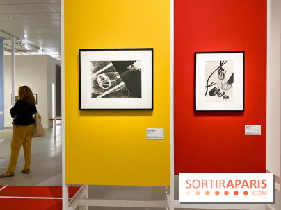 Les chefs-œuvre du MOMA au Jeu de Paume