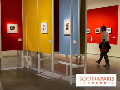 Les chefs-œuvre du MOMA au Jeu de Paume