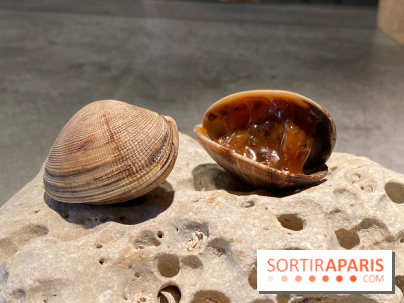 FIEF, le restaurant locavore du finaliste de Top Chef Victor Mercier