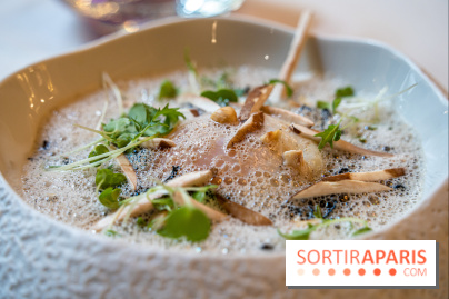 George V, la nouvelle carte de la Galerie