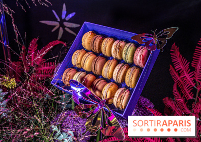 Bûches de Noël de Pierre Hermé 2021 et galettes 2022