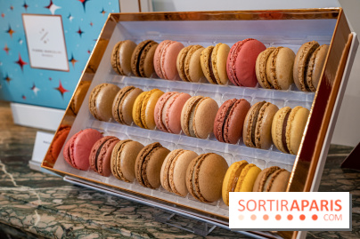 Photos : Les Bûches et chocolats de Noël de Pierre Marcolini 2021