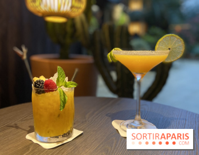 Oceania et sa terrasse en mode jardin méditerranéen à Paris