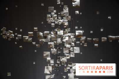 Exposition Aux frontières de l'humain au Musée de l'Homme