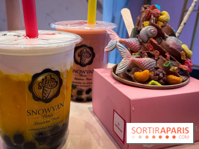 Snowvan, le spot aux bubble tea et glaces insolites