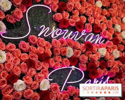 Snowvan, le spot aux bubble tea et glaces insolites