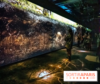 Photos : Odyssée sensorielle, l’expo immersive au Museum 