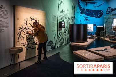 Photos : Odyssée sensorielle, l’expo immersive au Museum 
