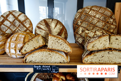 Basil à Paris, nos photos