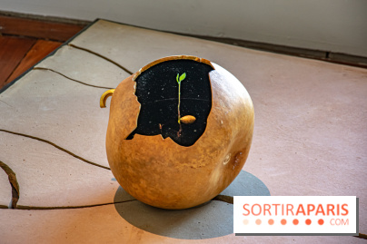 Le Musée Guimet propose une Carte blanche à Duy Anh Nhan Duc