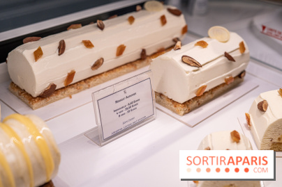 La Bûche Cabosse et les créations de Noël de CinqSens 2021