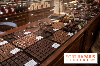 La Bûche de Noël de la Reine Astrid au mucilage