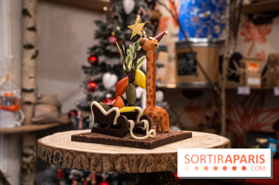 La Bûche de Noël de la Reine Astrid au mucilage