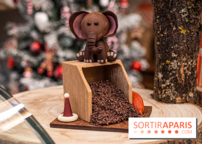 La Bûche de Noël de la Reine Astrid au mucilage