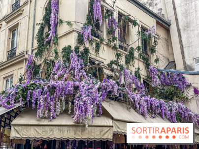 Les cafés fleuris de Paris