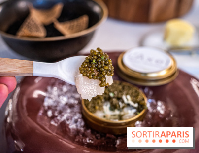 L'Axel, le restaurant étoilé de Fontainebleau, les photos