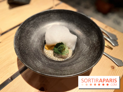 Adrien Cachot - Perchoir Ménilmontant