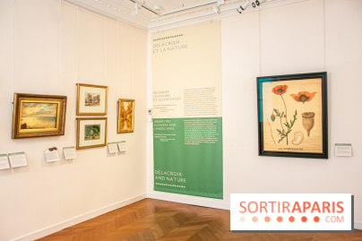 Delacroix et la nature, nos photos de l'exposition au musée Delacroix