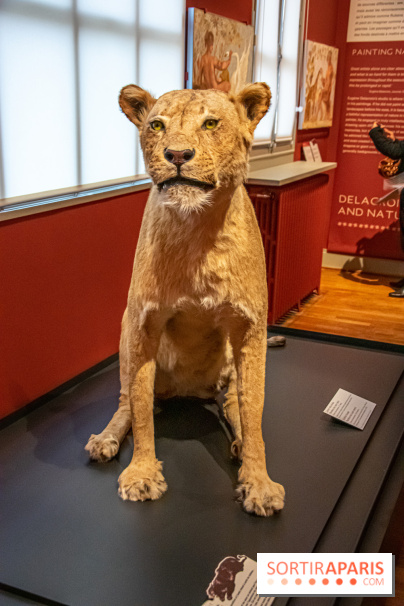 Delacroix et la nature, nos photos de l'exposition au musée Delacroix