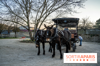 Le domaine du Chateau de Dampierre 