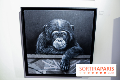 Expo Monochrome by Urban Signature, nos photos