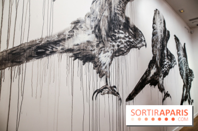 Incursions sauvages, nos photos