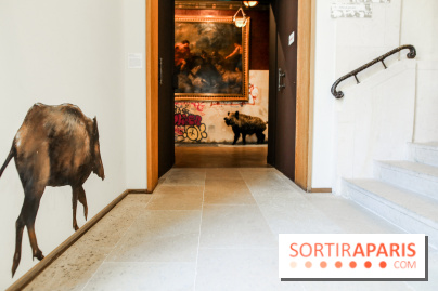 Incursions sauvages, nos photos