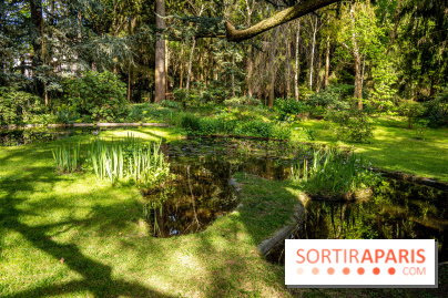 Les jardins du Musée Albert Kahn, nos photos 