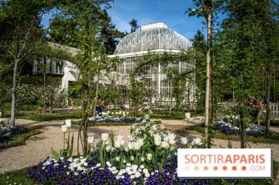 Les jardins du Musée Albert Kahn, nos photos 