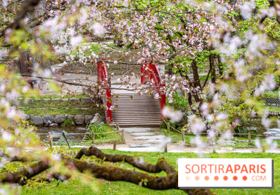 Les jardins du Musée Albert Kahn, nos photos  -  A7C8879 HDR