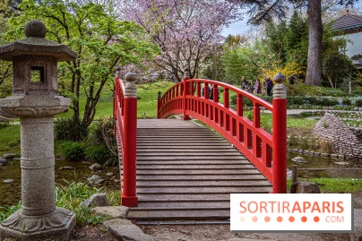 Les jardins du Musée Albert Kahn, nos photos  -  A7C9021