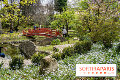 Les jardins du Musée Albert Kahn, nos photos  -  A7C8944