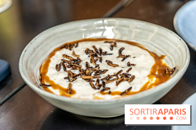 Le Camondo restaurant et terrasse