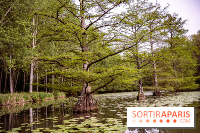 Photos : Château de Cheverny