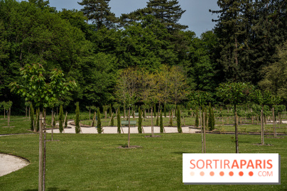 Photos : Château de Cheverny