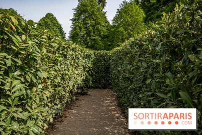 Photos : Château de Cheverny