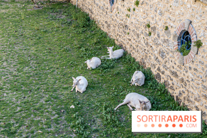 Le Château de Breteuil, ses jardins remarquables et contes de Perrault 