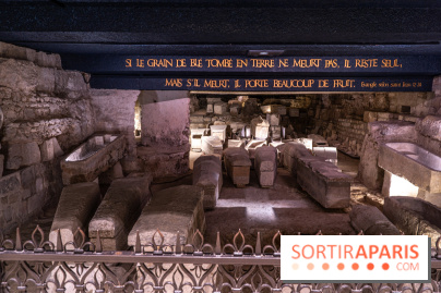 La Basilique Saint-Denis et sa nécropole royale -  A7C0695